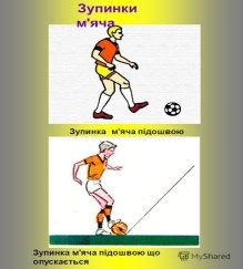 Презентация на тему: "ТЕМА: Техніка гри в футболі (удари, зупинки ...