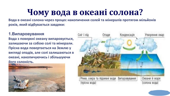  Чому вода в океані солона? Вода в океані солона через процес накопичення солей та мінералів протягом мільйонів років, який відбувається завдяки: 1. Випаровування. Вода з поверхні океану випаровується, залишаючи за собою солі та мінерали. Прісна вода повертається на Землю у вигляді опадів, але солі залишаються в океані, накопичуючись і збільшуючи його солоність. 