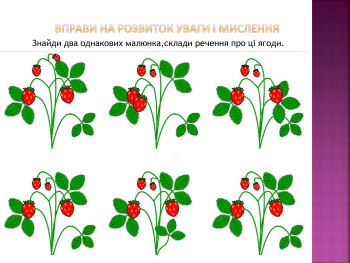  Вправи на розвиток уваги і мислення. Знайди два однакових малюнка,склади речення про ці ягоди.