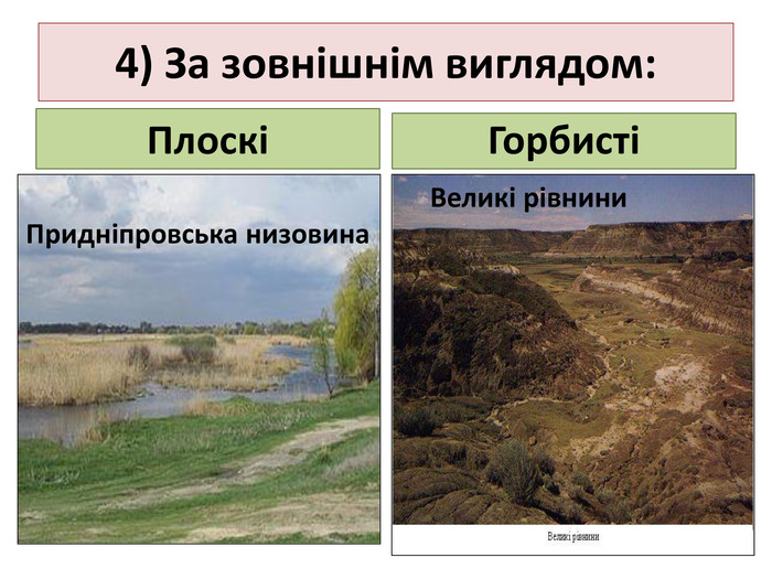 4) За зовнішнім виглядом: ПлоскіГорбистіВеликі рівнини. Придніпровська низовина
