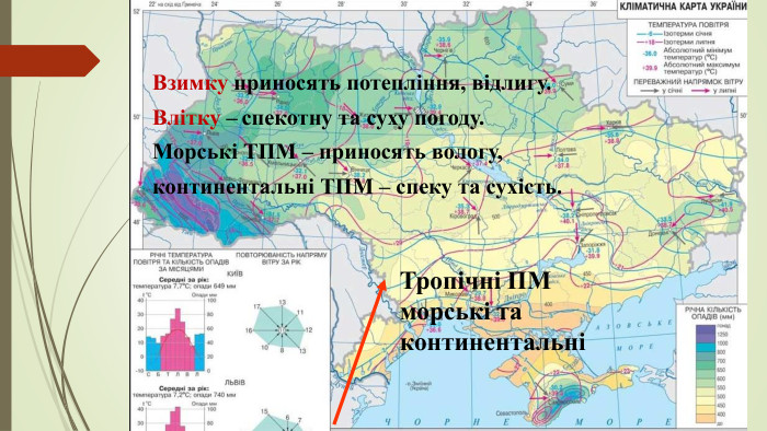 Тропічні ПМ морські та континентальніВзимку приносять потепління, відлигу. Влітку – спекотну та суху погоду. Морські ТПМ – приносять вологу,континентальні ТПМ – спеку та сухість.