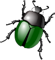 bug_PNG3992.png