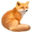 fox_PNG23159.png