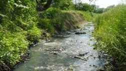 Щодесять років в Україні зникають 5 тис. малих річок - експе…