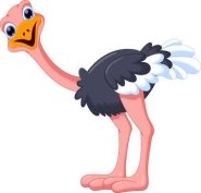C:\Users\777\Pictures\27951559-funny-ostrich-cartoon.jpg
