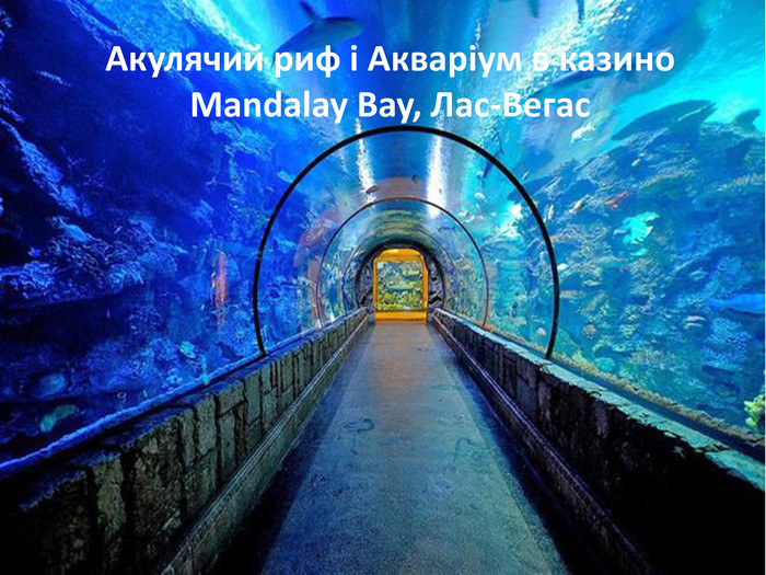 Акулячий риф і Акваріум в казино Mandalay Bay, Лас-Вегас