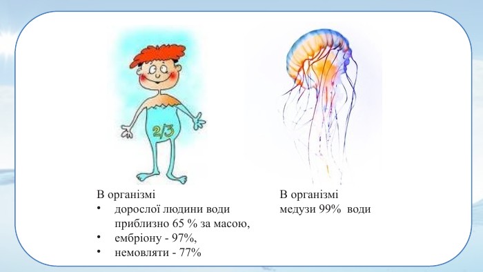 В організмі дорослої людини води приблизно 65 % за масою,ембріону - 97%, немовляти - 77% В організмі медузи 99% води