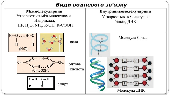 Види водневого зв’язку   {5940675 A-B579-460 E-94 D1-54222 C63 F5 DA}Міжмолекулярний Утворюється між молекулами. Наприклад, НF, H2 O, NH3, R-OH, R-COOHВнутрішньомолекулярний Утворюється в молекулах білків, ДНК спирт. Молекула білка Молекула ДНКоцтова кислотавода
