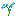 flower_blue_orchid.png