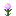 flower_paeonia.png