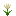 flower_tulip_white.png