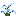 flower_blue_orchid_3.png
