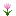 flower_tulip_pink.png