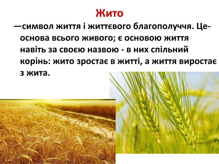 Жито—символ життя і життєвого благополуччя. Це-основа всього живого; є основою життя навіть за своєю назвою - в них спільний корінь: жито зростає в житті, а життя виростає з жита. 