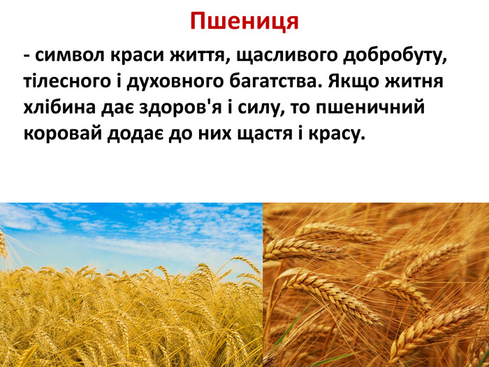 Пшениця - символ краси життя, щасливого добробуту, тілесного і духовного багатства. Якщо житня хлібина дає здоров'я і силу, то пшеничний коровай додає до них щастя і красу. 