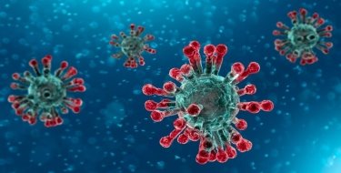 Coronavirus: prevention, risks and protocols for Professional ...