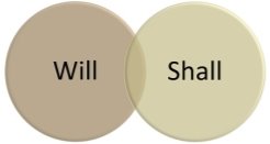 Difference Between Will and Shall (with Examples and Comparison ...