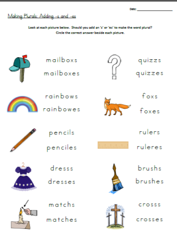 Free Worksheet - Making Plurals | Homeschool language arts ...