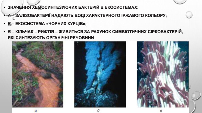 Значення хемосинтезуючих бактерій в екосистемах: а – залізобактерії надають воді характерного іржавого кольору; б – екосистема «чорних курців»; в – кільчак – рифтія – живиться за рахунок симбіотичних сіркобактерій, які синтезують органічні речовини 