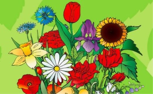 Картинки по запросу квіти  картинки для детей
