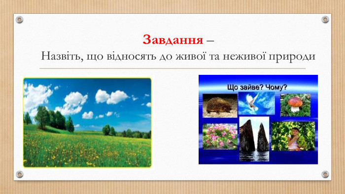 Завдання – Назвіть, що відносять до живої та неживої природи
