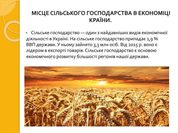 МІСЦЕ СІЛЬСЬКОГО ГОСПОДАРСТВА В ЕКОНОМІЦІ КРАЇНИ. Сільське господарство — один з найдавніших видів економічної діяльності в Україні. На сільське господарство припадає 1,9 % ВВП держави. У ньому зайнято 3,3 млн осіб. Від 2015 р. воно є лідером в експорті товарів. Сільське господарство є основою економічного розвитку більшості регіонів нашої держави.