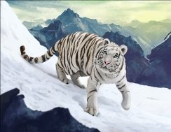 C:\Users\Ириша\Downloads\Big_cats_Tigers_Painting_500019 (1).jpg