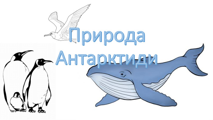 Природа Антарктиди