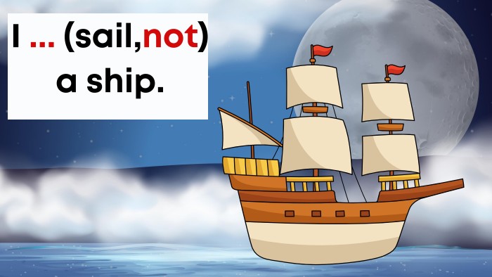 I ... (sail,not) a ship.