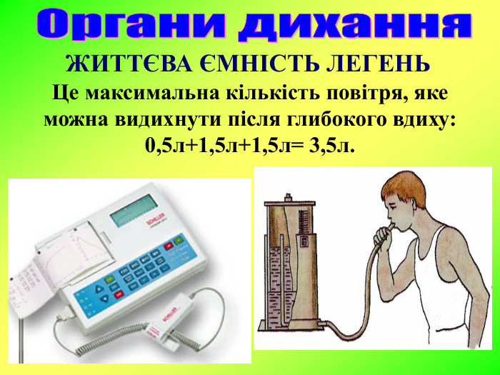 ЖИТТЄВА ЄМНІСТЬ ЛЕГЕНЬ Це максимальна кількість повітря, яке можна видихнути після глибокого вдиху: 0,5л+1,5л+1,5л= 3,5л. 
