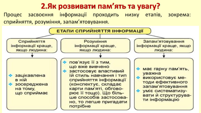 Процес засвоєння інформації проходить низку етапів, зокрема: сприйняття, розуміння, запам’ятовування.2. Як розвивати пам’ять та увагу? 