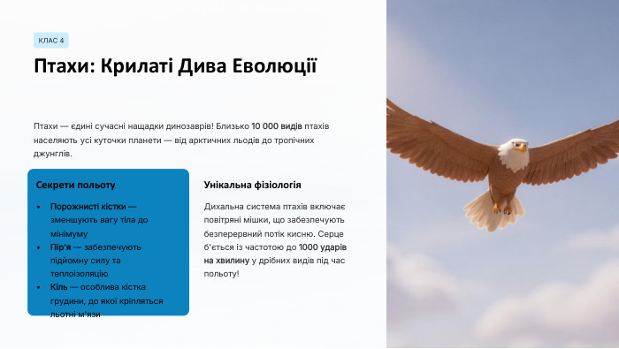 КЛАС 4 Птахи: Крилаті Дива ЕволюціїПтахи — єдині сучасні нащадки динозаврів! Близько 10 000 видів птахів населяють усі куточки планети — від арктичних льодів до тропічних джунглів. Секрети польоту. Порожнисті кістки — зменшують вагу тіла до мінімуму. Пір'я — забезпечують підйомну силу та теплоізоляцію. Кіль — особлива кістка грудини, до якої кріпляться льотні м'язи. Унікальна фізіологія. Дихальна система птахів включає повітряні мішки, що забезпечують безперервний потік кисню. Серце б'ється із частотою до 1000 ударів на хвилину у дрібних видів під час польоту!