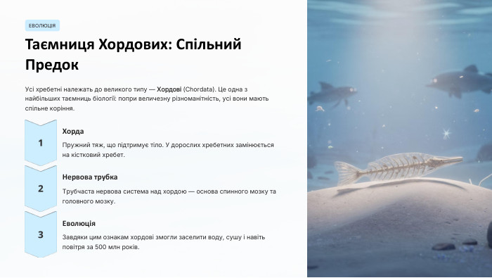 ЕВОЛЮЦІЯТаємниця Хордових: Спільний Предок. Усі хребетні належать до великого типу — Хордові (Chordata). Це одна з найбільших таємниць біології: попри величезну різноманітність, усі вони мають спільне коріння. Хорда. Пружний тяж, що підтримує тіло. У дорослих хребетних замінюється на кістковий хребет. Нервова трубка. Трубчаста нервова система над хордою — основа спинного мозку та головного мозку. Еволюція. Завдяки цим ознакам хордові змогли заселити воду, сушу і навіть повітря за 500 млн років.