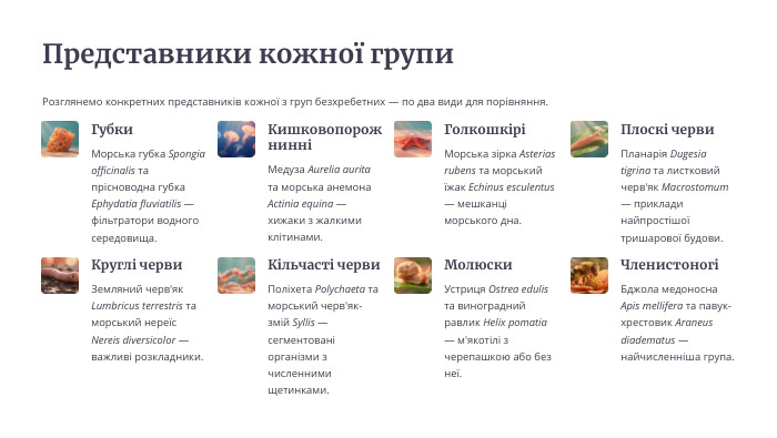 Представники кожної групи. Розглянемо конкретних представників кожної з груп безхребетних — по два види для порівняння. Губки. Морська губка Spongia officinalis та прісноводна губка Ephydatia fluviatilis — фільтратори водного середовища. КишковопорожнинніМедуза Aurelia aurita та морська анемона Actinia equina — хижаки з жалкими клітинами. ГолкошкіріМорська зірка Asterias rubens та морський їжак Echinus esculentus — мешканці морського дна. Плоскі черви. Планарія Dugesia tigrina та листковий черв'як Macrostomum — приклади найпростішої тришарової будови. Круглі черви. Земляний черв'як Lumbricus terrestris та морський нереїс Nereis diversicolor — важливі розкладники. Кільчасті черви. Поліхета Polychaeta та морський черв'як-змій Syllis — сегментовані організми з численними щетинками. Молюски. Устриця Ostrea edulis та виноградний равлик Helix pomatia — м'якотілі з черепашкою або без неї. ЧленистоногіБджола медоносна Apis mellifera та павук-хрестовик Araneus diadematus — найчисленніша група.