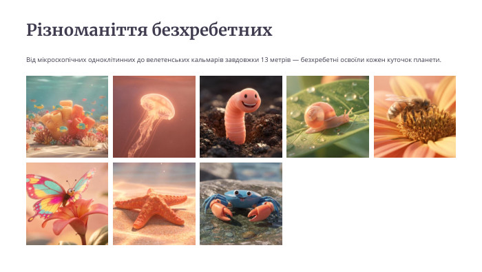 Різноманіття безхребетних. Від мікроскопічних одноклітинних до велетенських кальмарів завдовжки 13 метрів — безхребетні освоїли кожен куточок планети.