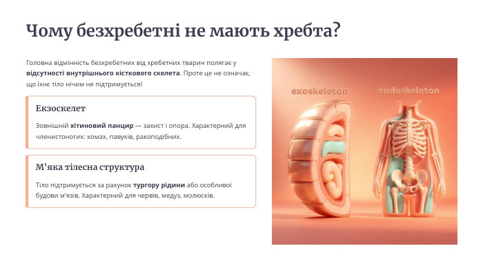 Чому безхребетні не мають хребта?Головна відмінність безхребетних від хребетних тварин полягає у відсутності внутрішнього кісткового скелета. Проте це не означає, що їхнє тіло нічим не підтримується!Екзоскелет. Зовнішній хітиновий панцир — захист і опора. Характерний для членистоногих: комах, павуків, ракоподібних. М'яка тілесна структура. Тіло підтримується за рахунок тургору рідини або особливої будови м'язів. Характерний для червів, медуз, молюсків.